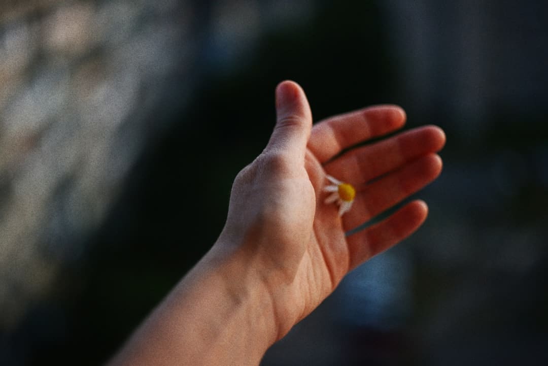 喜欢蹲着真的不是因为懒 或许是身体在偷偷 “自救”